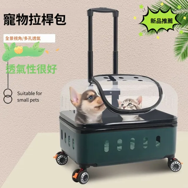 【2026】拉桿包寵物推薦ptt》10款高評價人氣品牌排行榜 | 好吃美食的八里人