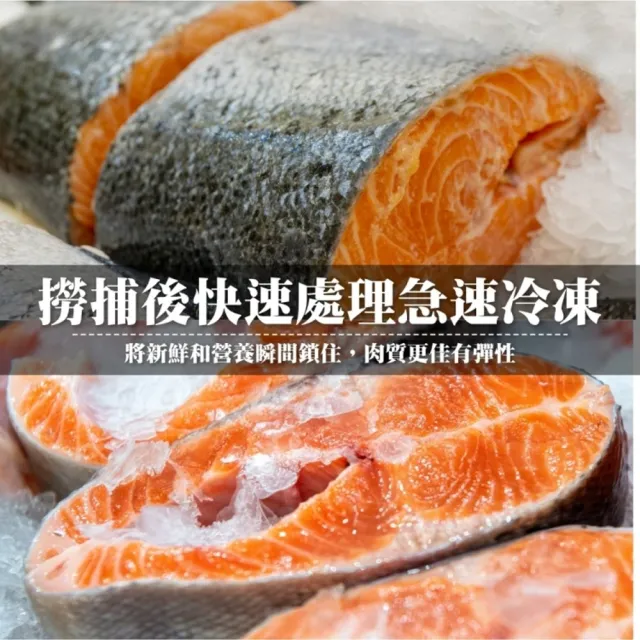 【三頓飯】智利肥嫩厚切3XL鮭魚(14片_420g/片)