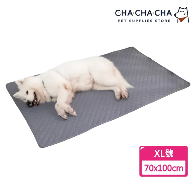 【2026】寵物尿布推薦10款高評價人氣品牌排行榜 | 好吃美食的八里人