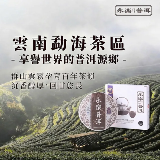 【EiRAKU】永樂普洱茶100g x 7入(茶餅 茶磚 雲南 熟茶 送禮 伴手禮 中秋禮盒 父親節)
