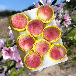 【初品果】拉拉山水蜜桃禮盒8顆x1盒(共8顆_食尚玩家推薦_產地直送_母親節送禮_企業採購)