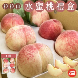 【初品果】拉拉山水蜜桃禮盒6顆x2盒(共12顆_每盒1200g_產地直送_季節限定_企業採購_禮盒)