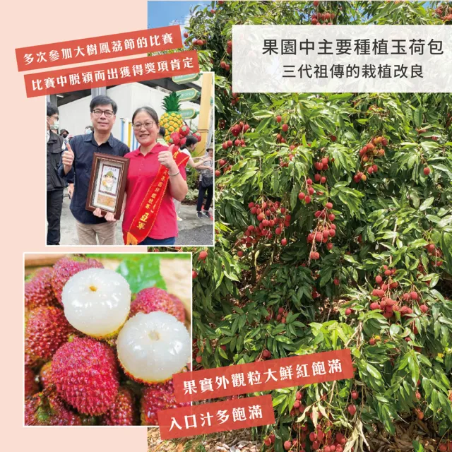 【初品果】高雄大樹玉荷包禮盒小果3斤x2盒(28mm-32mm_顆粒_冷藏_鳳荔文化獎)(端午禮盒)