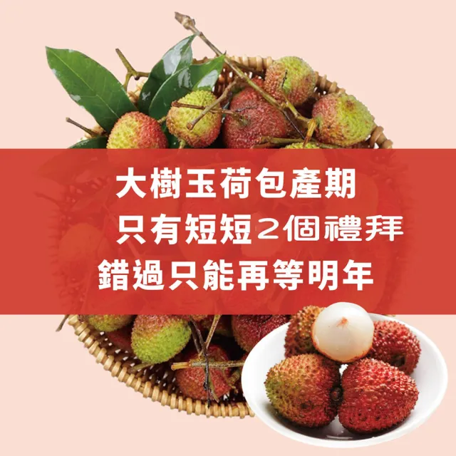 【初品果】高雄大樹玉荷包禮盒中果3斤x4盒(外銷等級32mm-35mm_顆粒_冷藏_鳳荔文化獎_端午禮盒)
