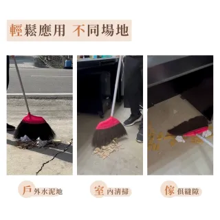 黑棕掃