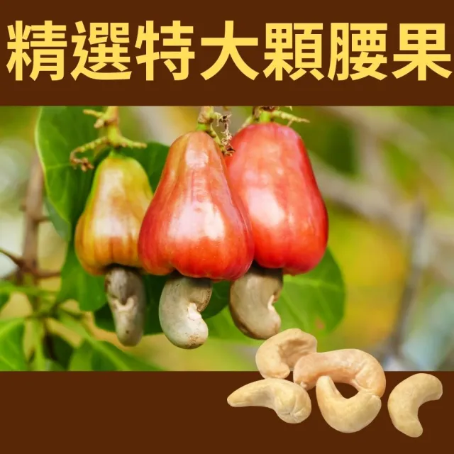 【品鮮生活】堅果 特大腰果斤裝600g