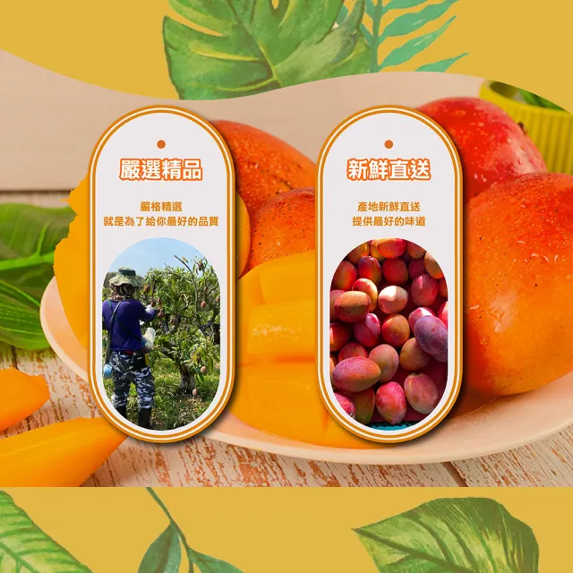 【禾鴻】屏東枋山山頂上的愛文芒果5斤x1盒(9-12顆/盒_中小果)