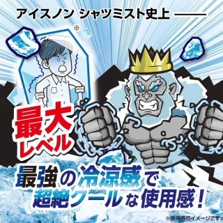 【台隆手創館】日本白元 ICE KING衣物超涼感噴霧300mL(涼感噴霧 消臭噴霧)