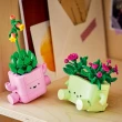 【LEGO 樂高】Botanicals 11506 搖擺植物(植栽 居家擺設 禮物 玩具)
