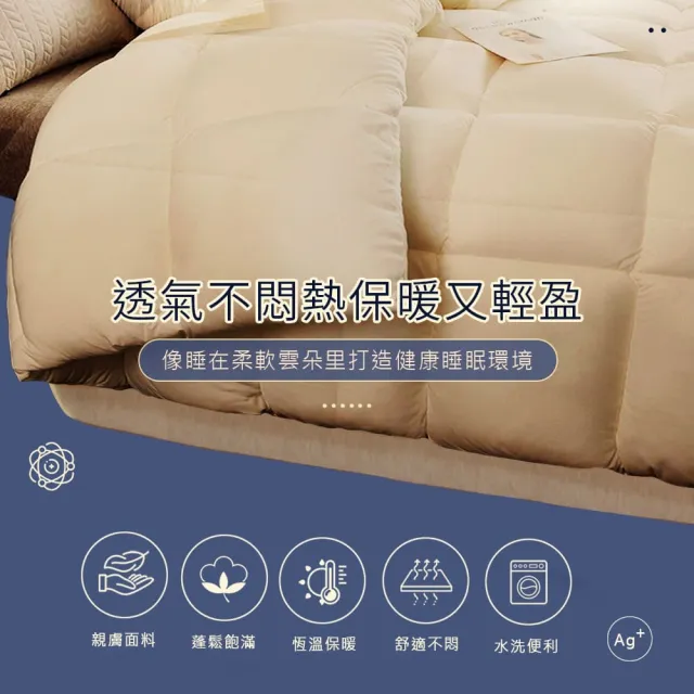 【Sleep Peacefully 寢室安居】3M銀離子抗菌可水洗烘乾四季被-雙人(棉被/四季被)