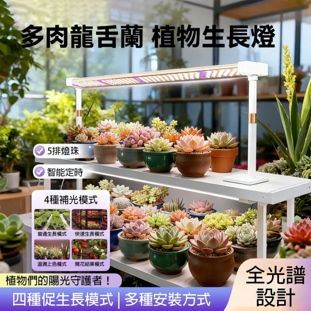 【LADUTA 拉布塔】植物補光燈 全光譜50W 4種生長模式 高度可調節 多肉龍舌蘭 植物燈