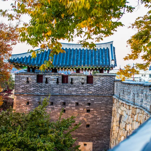 FUN暑假-清易嗨翻玩五日★愛寶樂園、水族館&美人魚秀、塗鴉秀、汗蒸幕(早去晚回足五天)