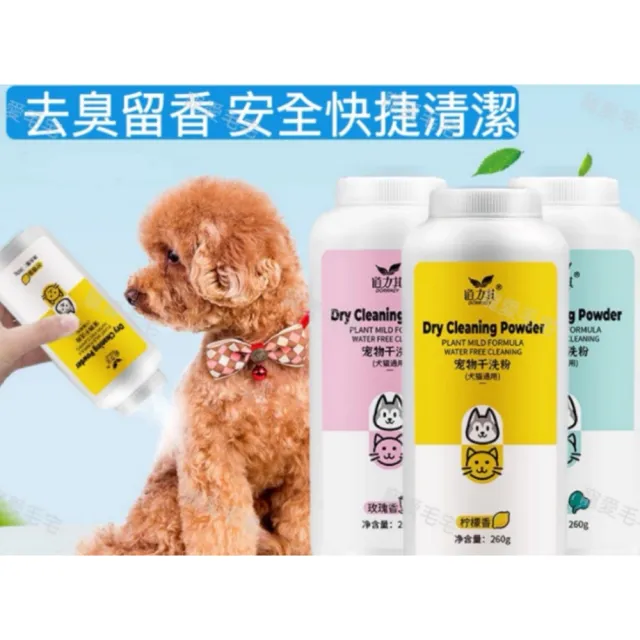 【2026】乾洗澡推薦ptt》10款高評價人氣品牌排行榜 | BALIMAN情報局