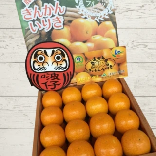 【RealShop 真食材本舖】日本鹿兒島金桔禮盒600克裝(排排站禮盒 水果禮盒 原裝禮盒)