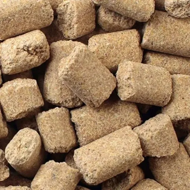 【Mazuri】瑪滋力 大鼠小鼠飼料 原廠包裝 560g- 花枝鼠飼料、大白鼠飼料、倉鼠飼料 動物園指定品牌