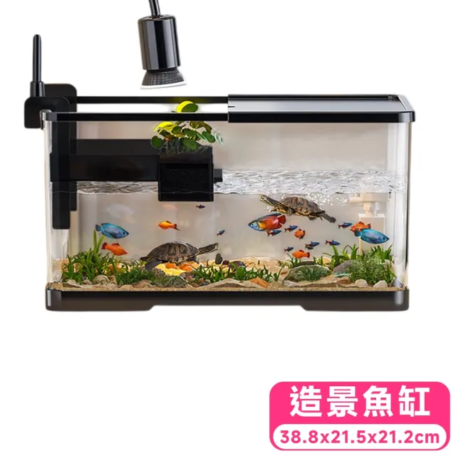 【2026】魚缸過濾器推薦ptt》10款高評價人氣品牌排行榜 | BALIMAN情報局