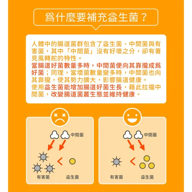 【韓國鍾根堂】LACTO-FIT GOLD 益生菌粉末食品 大童與成人款120入-三入組