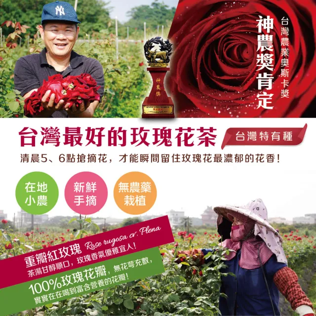 【慢悠仙】神農獎玫瑰花茶 20g X6袋 贈壺(花瓣/每袋可沖40壺/SGS無農藥/無咖啡因無糖/花草茶養生茶)