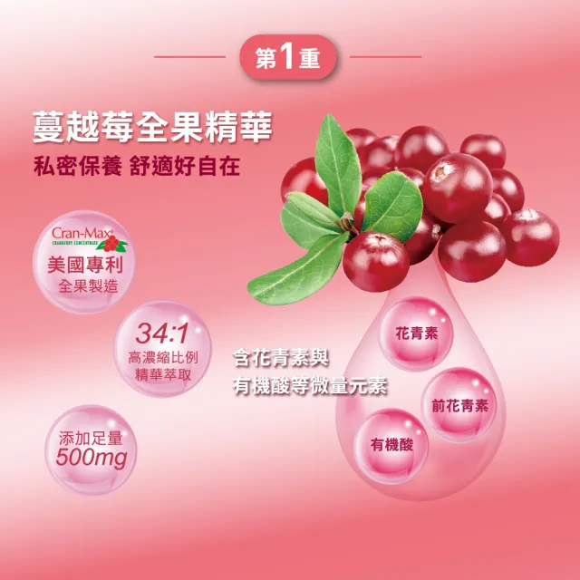 【娘家】蔓越莓聖潔莓益生菌30入5盒組(30包/盒)