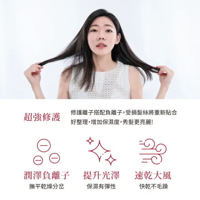 【TESCOM】官方直營 防靜電負離子大風量渦流吹風機 朱丹紅 TID2200TW