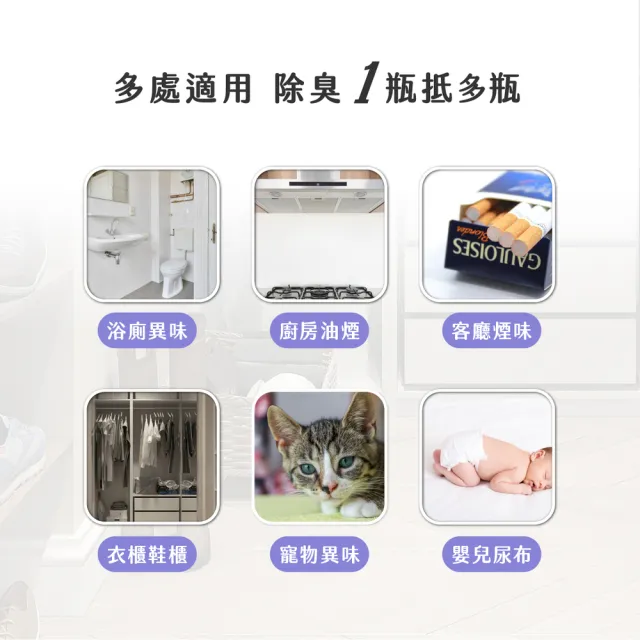 抑菌除臭噴霧 300ml_2入組｜空間除臭｜鞋櫃除臭｜寵物空間｜居家清潔｜抑菌