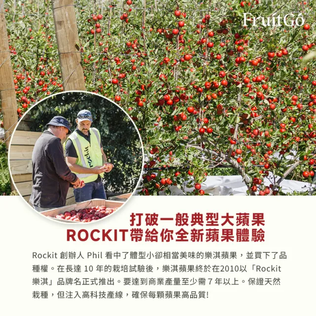 【FruitGo 馥果】(慶生組送24張紋身貼紙)紐西蘭樂淇蘋果24管(2顆/管) X1箱(#224原箱直送)