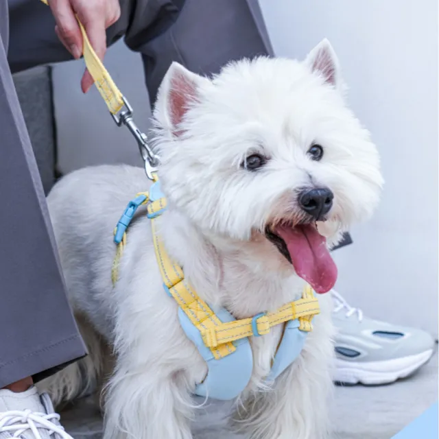 Tuffhound 小書包胸背L號(胸背帶+牽繩) 犬貓牽引繩 TF022