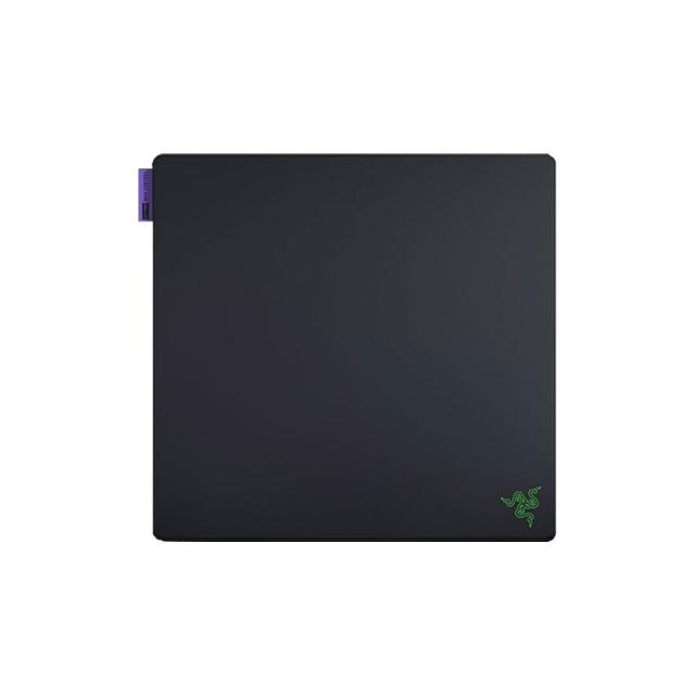 【Razer 雷蛇】Gigantus V2 Pro 巨甲蟲 Max Control L 電競滑鼠墊 (最高控制性)