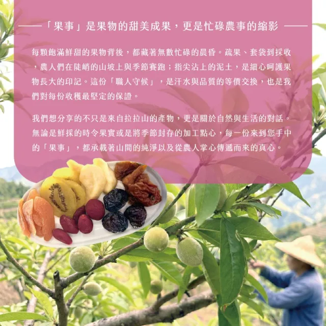 《拉拉山間果事》拉拉山水蜜桃乾x6包(220g/包)