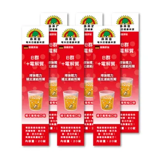 【SUNLIFE 森萊富】德國原裝  B群+電解質發泡錠(橘子葡萄柚口味 x 6入組 / 共120錠)