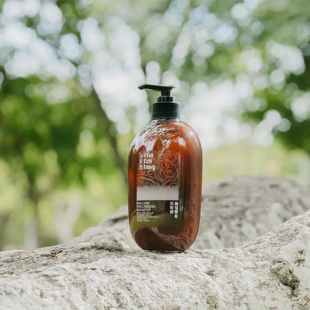 【茶籽堂】草本植萃養護洗髮露330mL｜三款調理任選(錦葵豐盈蓬鬆/桑白皮染燙修護/紫草強效控油)