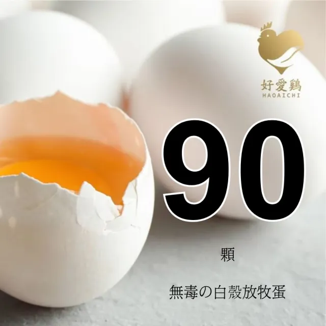 【HAOAICHI 好愛雞】無毒の白殼放牧蛋 大家庭3盤 共90顆(30顆/盤)非籠飼 無藥殘 無毒飼料 雞蛋
