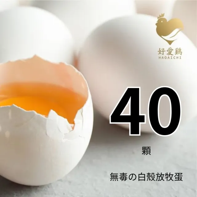 【HAOAICHI 好愛雞】無毒の白殼放牧蛋 小家庭4盒 共40顆(10顆/盒)非籠飼 無藥殘 無毒飼料 雞蛋