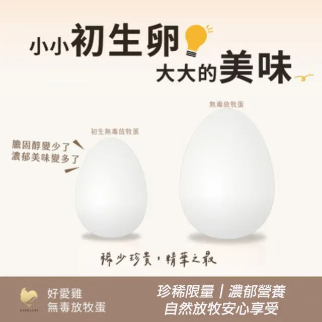 【HAOAICHI 好愛雞】限量初生卵 無毒の白殼放牧蛋 小家庭單盤 共45顆組(45顆/盤)非籠飼無藥殘無毒飼料 雞蛋