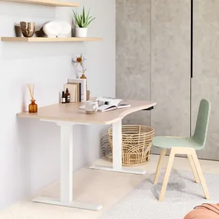 【FUNTE】Mini+ 電動升降桌/三節式 100x60cm 八色可選(辦公桌 電腦桌 工作桌)