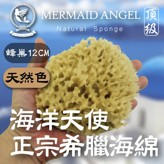 天然海綿