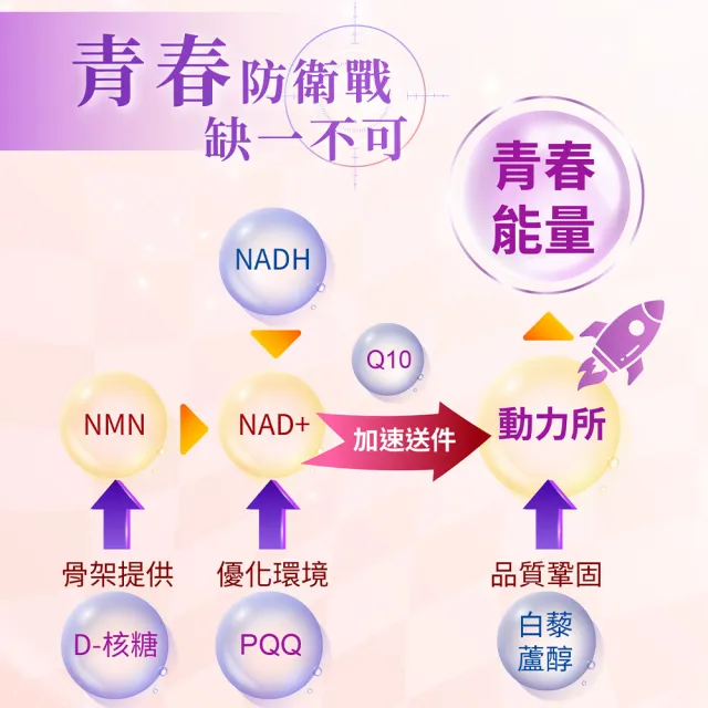 【Gelovery 愷達生醫】NMN+NADH燕窩酸再青春(5盒組：30包/盒; 業界首創雙主打和最高含量 藍莓口味無腥味)