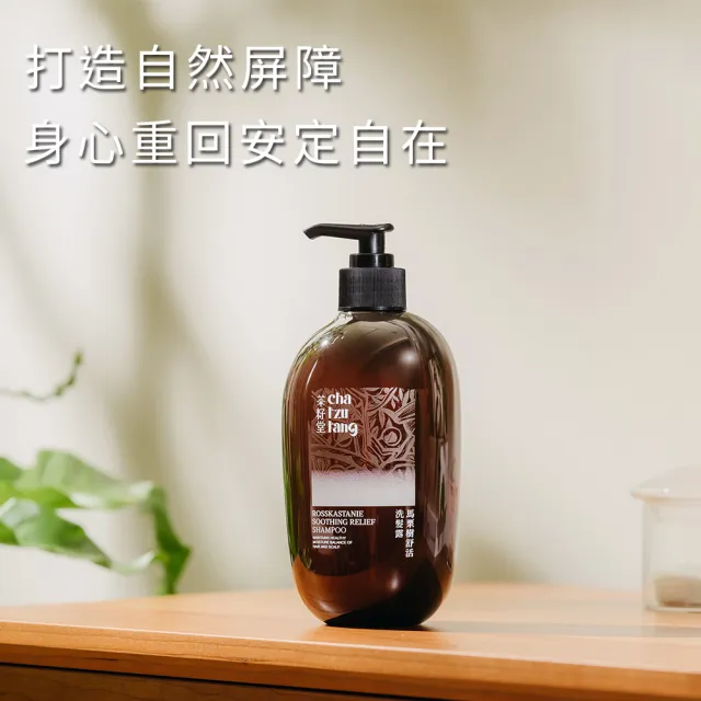 【茶籽堂】三大植萃香氣洗髮露500mL｜三款調理任選(肖楠葉淨化/馬栗樹舒活/水芙蓉潤澤/控油保濕)