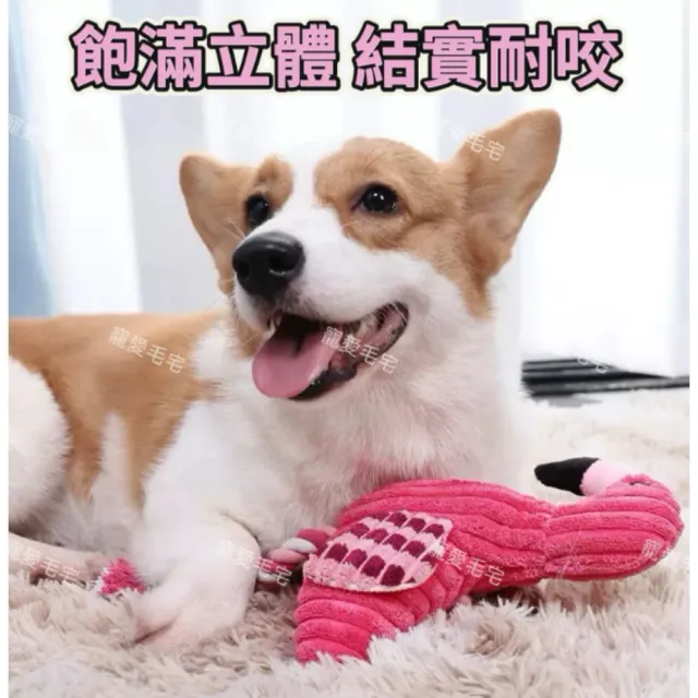 【2026】狗狗玩具推薦ptt》10款高評價人氣品牌排行榜 | BALIMAN情報局