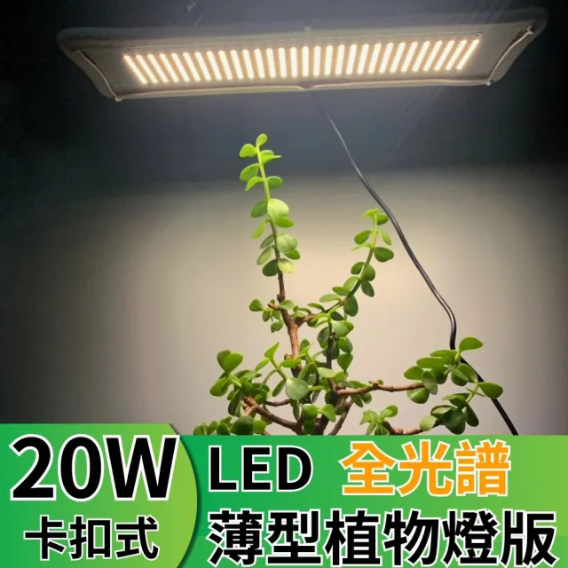 【JIUNPEY 君沛】LED20W薄型植物燈版 20瓦卡扣式植物燈 仿日照陽光植物燈全光譜 高演色(植物生長燈 植物燈)