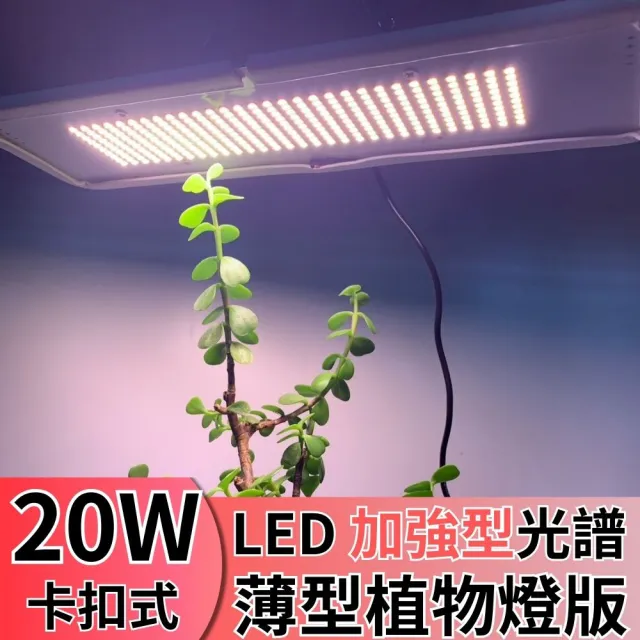 【JIUNPEY 君沛】LED20W薄型植物燈版 20瓦卡扣式植物燈 加強型光譜(植物生長燈 植物燈)