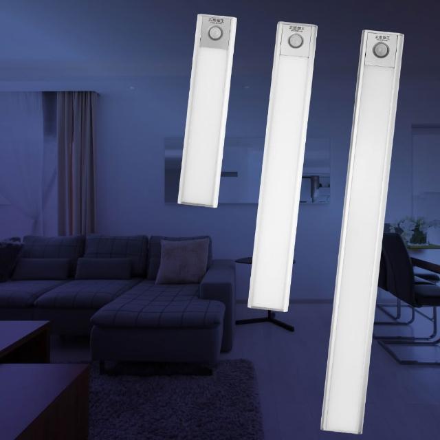 【太星電工】LED人體感應櫥櫃燈 超薄 磁吸安裝 USB充電 三色光-2入組 (智能感應/櫥櫃條燈)-(20/30/40cm)