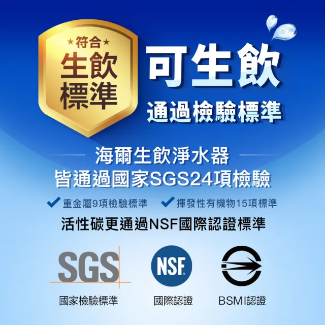 【Haier 海爾】自動開門AI變頻獨嵌兩用洗碗機H600 + RO600G逆滲透生飲淨水器