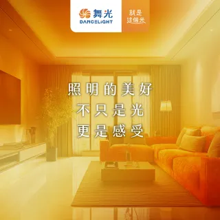 【DanceLight 舞光】LED無段調光燈泡 12W E27 全電壓 2年保固(黃光)