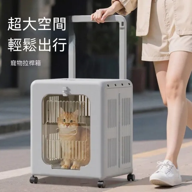 | BALIMAN情報局 【2026】寵物拉桿包推薦ptt》10款高評價人氣品牌排行榜 | BALIMAN情報局