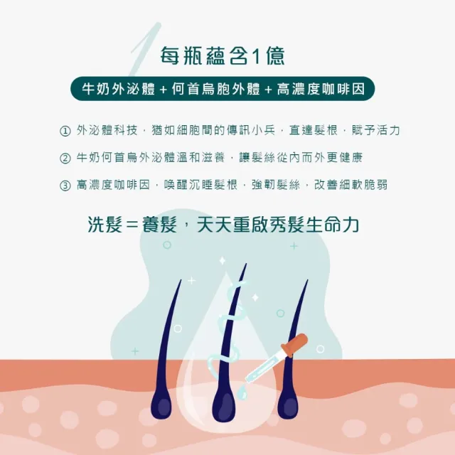 【SH-RD 史高師設】外泌體咖啡因活化淨髮露200ml(咖啡因精華、頭皮精華、強韌髮根、蓬鬆髮、細軟髮救星)