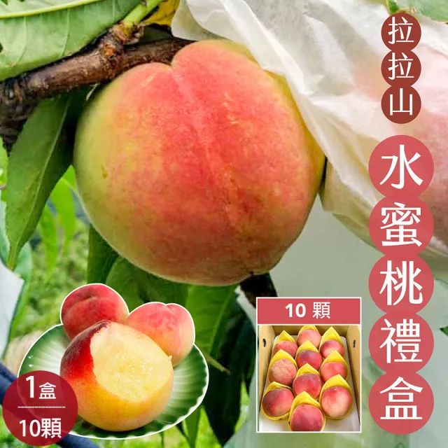 【初品果】拉拉山水蜜桃禮盒10顆x1盒(共10顆_食尚玩家推薦_產地直送_母親節送禮 禮盒)
