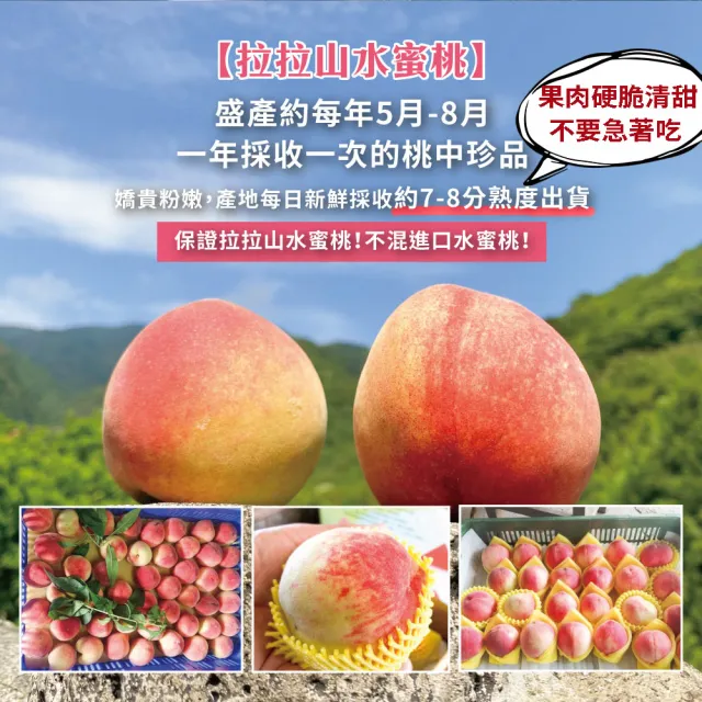 【初品果】拉拉山水蜜桃禮盒12顆x1盒(共12顆_食尚玩家推薦_產地直送_母親節送禮_企業採購)