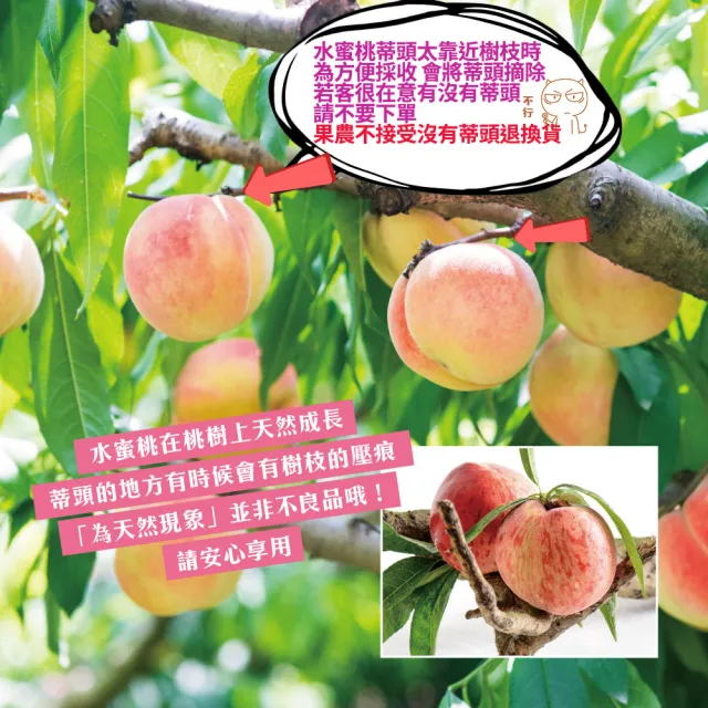 【初品果】拉拉山水蜜桃禮盒8顆x2盒(共16顆_食尚玩家推薦_產地直送_母親節禮盒_企業採購)
