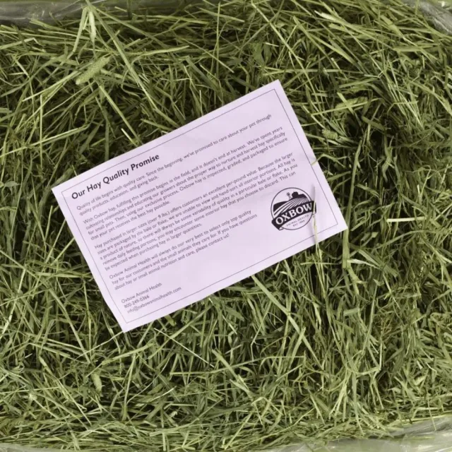 【OXBOW】提摩西牧草 40oz(提摩西牧草、主食牧草、美國進口、牧草、兔子、天竺鼠、龍貓)